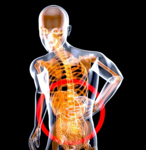 dor crônica e fibromialgia