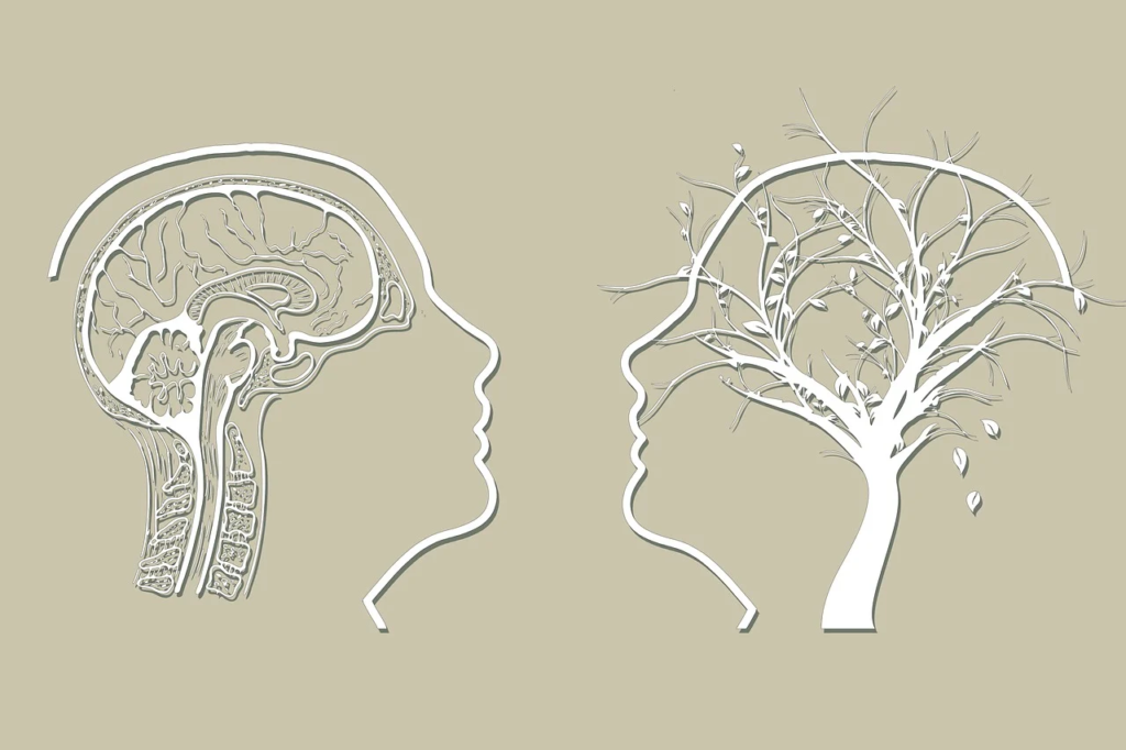 A planta tem se mostrado eficaz no alívio de alguns dos sintomas mais debilitantes do Alzheimer